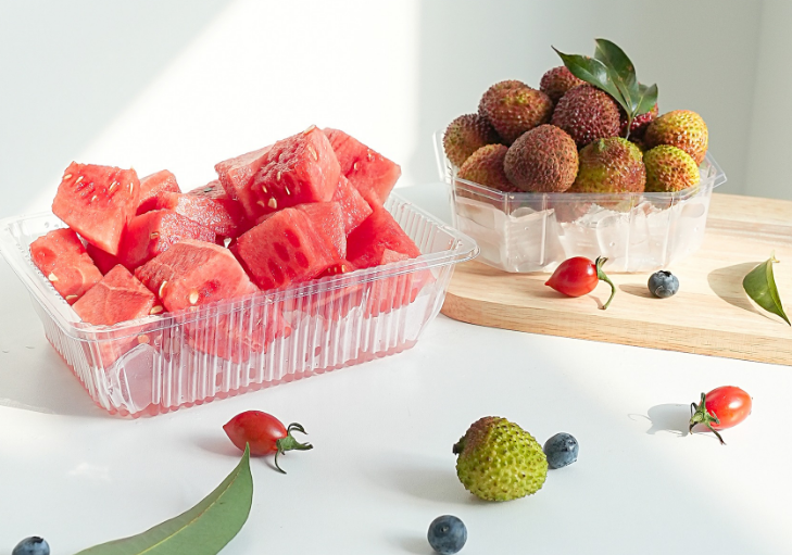 جعبه بسته بندی Nine Grid PET Blister چگونه از اقلام ظریف یا شکننده در برابر لرزش، ضربه یا سایش در حین حمل محافظت می کند؟